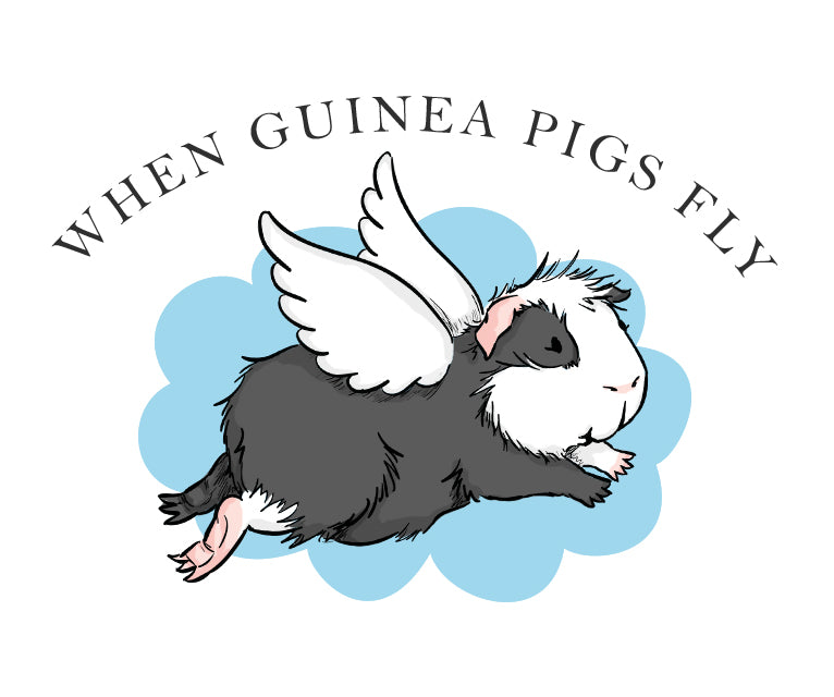 When Guinea Pigs Fly Gift Card