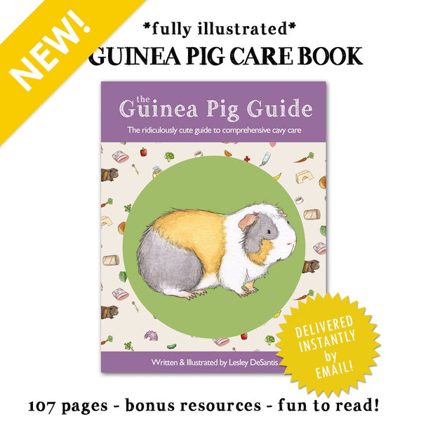 The Guinea Pig Guide eBook